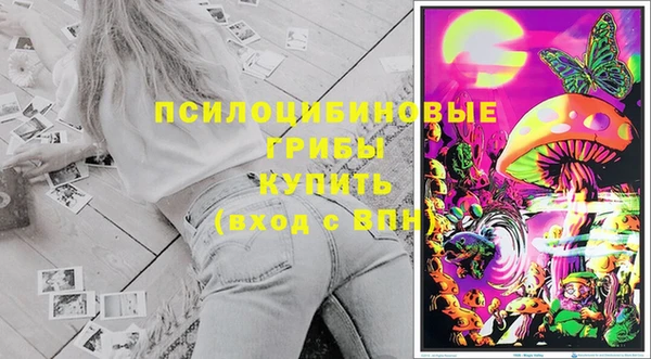 Альфа ПВП Вязники