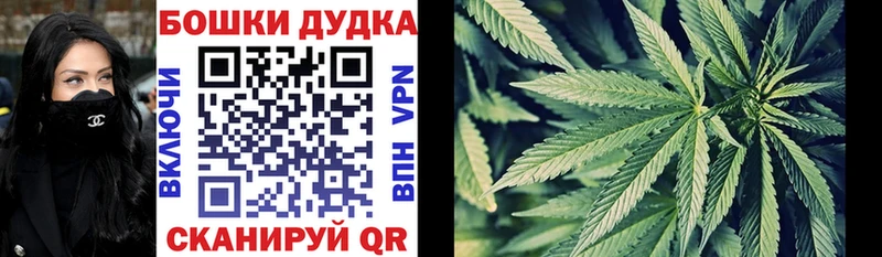 цена   Благовещенск  Бошки Шишки VHQ 